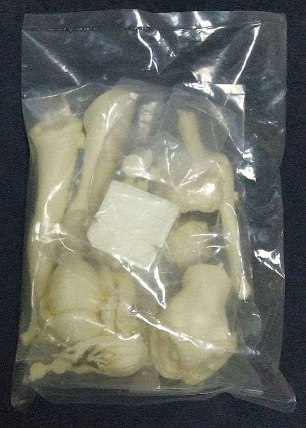榛名 水着ver. 艦隊これくしょん S-MIST ガレージキット Amazon.co.jp: 24cm 加賀 水着ver 艦隊これくしょん ガレージ